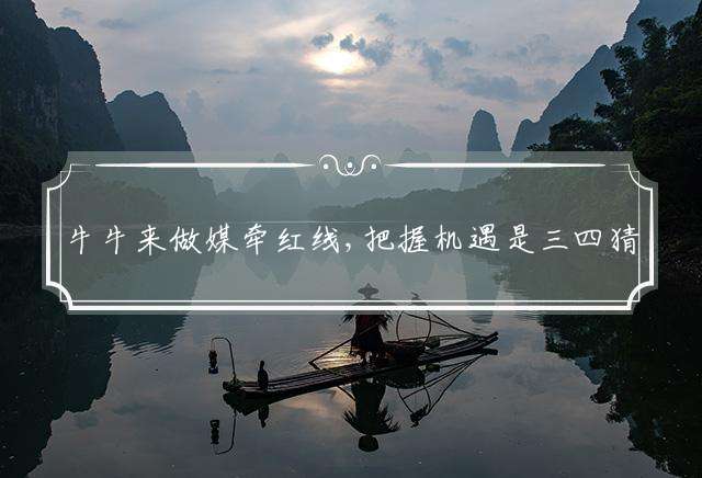 牛牛来做媒牵红线,把握机遇是三四猜一最准确生肖，详细解释落实