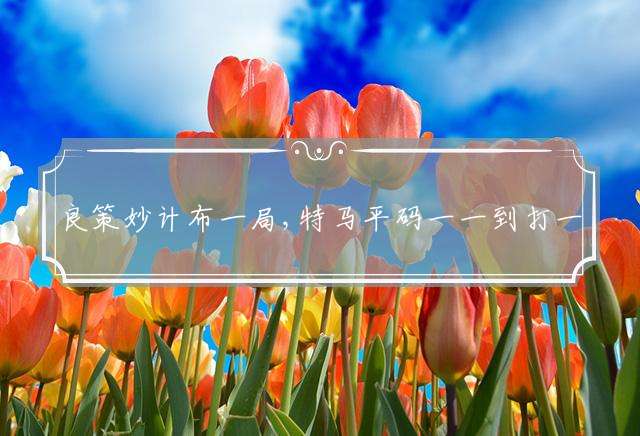 良策妙计布一局,特马平码一一到打一最佳生肖：精选解析落实