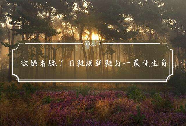 欲钱看脱了旧鞋换新鞋打一最佳生肖,释义成语解释