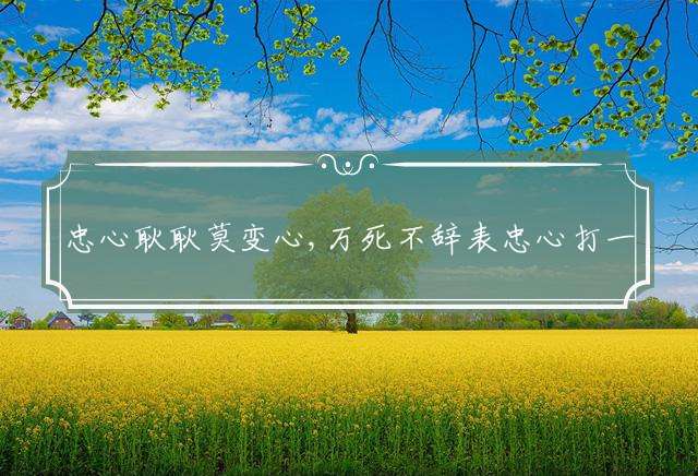 忠心耿耿莫变心,万死不辞表忠心打一最佳生肖，成语解释落实