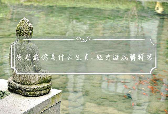 感恩戴德是什么生肖,经典谜底解释落实释义