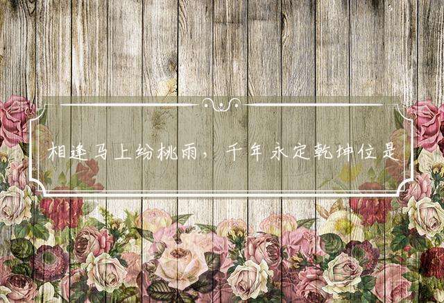 相逢马上纷桃雨，千年永定乾坤位是什么生肖,经典成语解释落实释义