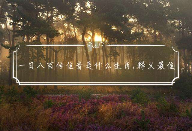 一日八百传佳音是什么生肖,释义最佳成语解释