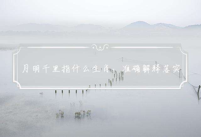 月明千里指什么生肖，准确解释落实