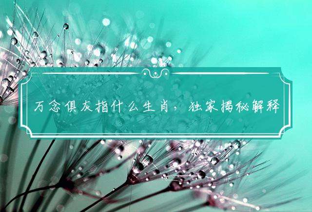 万念俱灰指什么生肖，独家揭秘解释落实