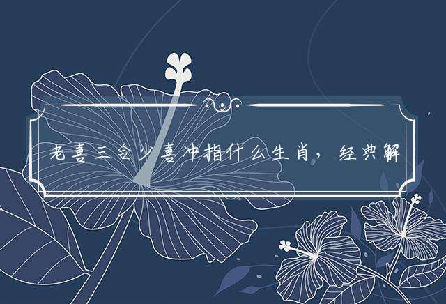 老喜三合少喜冲指什么生肖，经典解资询解释落实