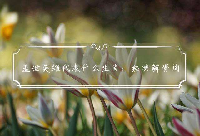 盖世英雄代表什么生肖，经典解资询解释落实
